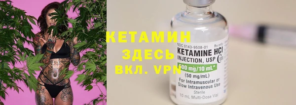 крисы Лагань