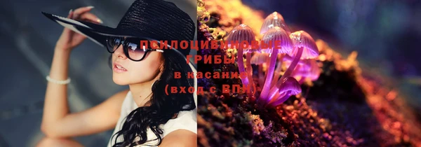 мескалин Лабытнанги