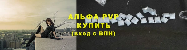 крисы Лагань