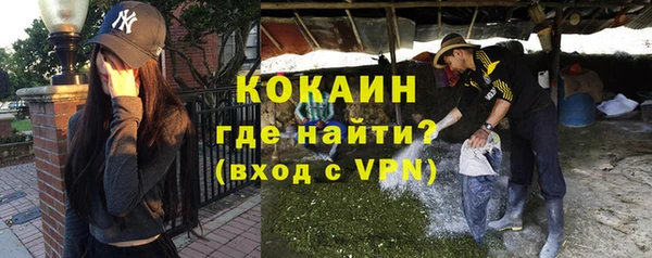 крисы Лагань