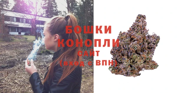 крисы Лагань