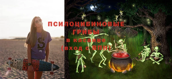 крисы Лагань