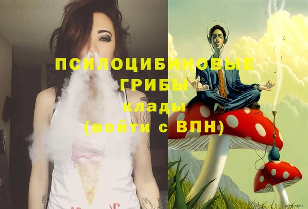 трава Ладушкин