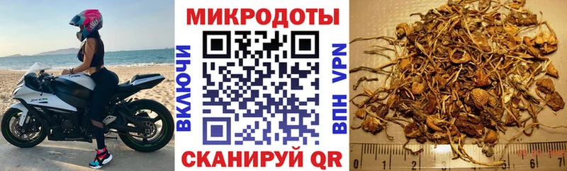Купить закладки  Сорочинск  Псилоцибиновые грибы мухоморы 