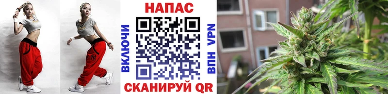 Купить закладки  Сорочинск  Бошки марихуана OG Kush 